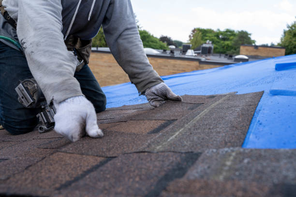 Best Storm Damage Roof Repair  in Rosendale, WI